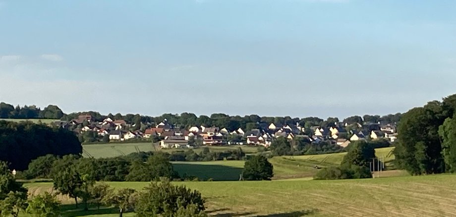 Ein Landschaftsbild der Ortsgemeinde Dachsenhausen bei Sonnenschein.