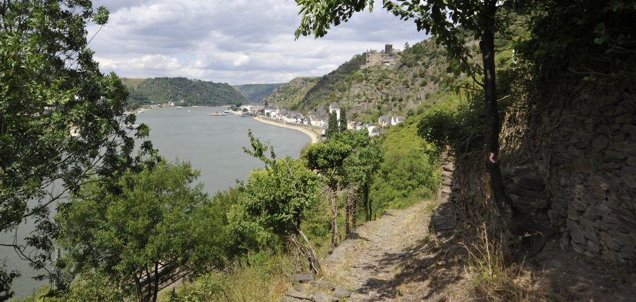 Wandern am Rhein entlang